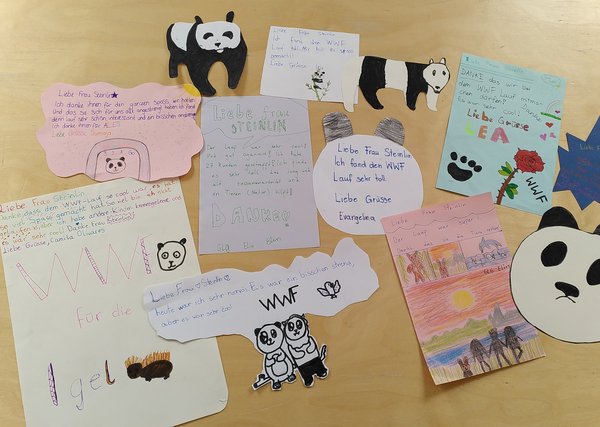 Dankeszeichnungen von einer Gossauer-Schulklasse, für die Teilnahme am WWF-Lauf in Gossau