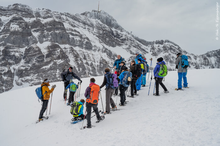 Mehrere Personen nehmen an einer Schneeschuhtour im Alpstein teil. Dieser findet anlässlich eines WWF-Event statt. Der Säntis ist sichtbar und die Gruppe steht auf einer schneebedeckten Anhöhe.