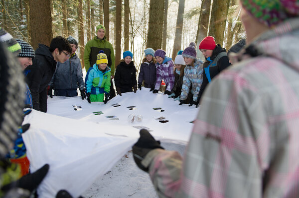 Schulklasse im Wald