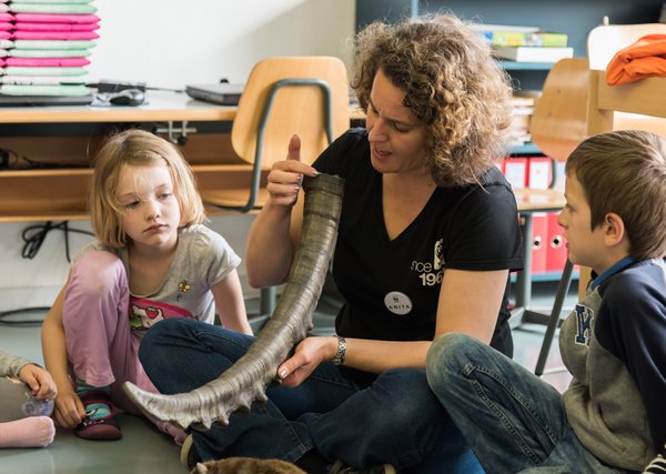 Eine WWF-Schulbesucherin zeigt ein Horn von einem Steinbock zwei Schulkindern