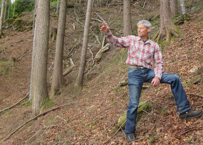 Peter Ettlinger steht vor einem Baum, in einem Wald.