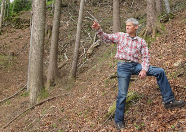Peter Ettlinger steht vor einem Baum, in einem Wald.